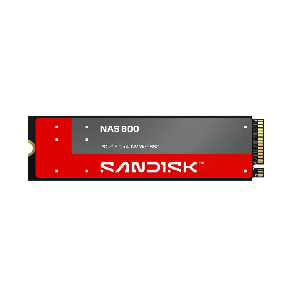 闪迪 NAS 800 NVMe SSD