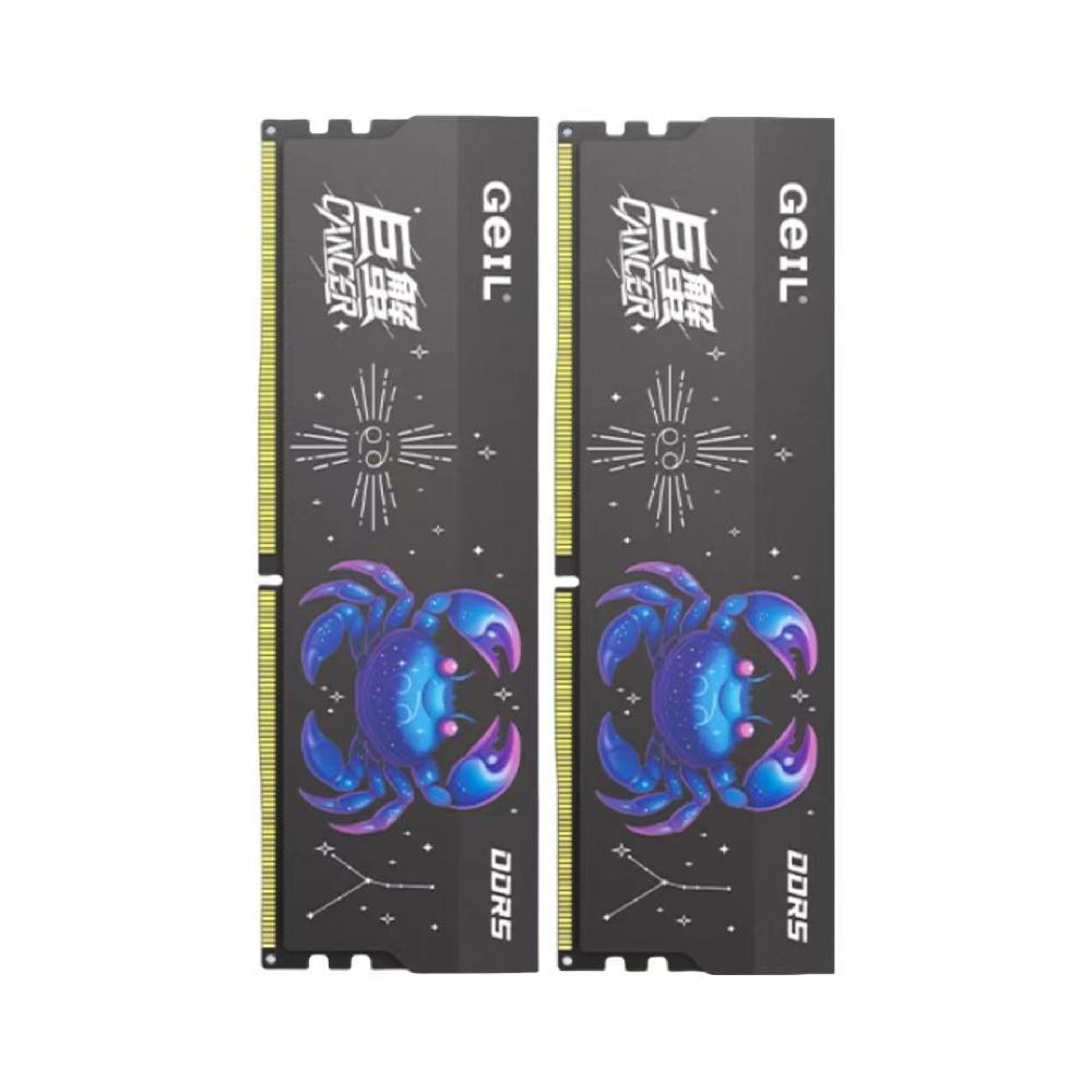 金邦 DDR5 6000 巨蟹马甲条系列 C30